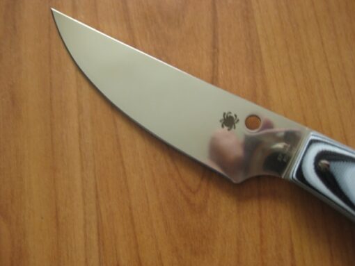 Cuchillo Spyderco Bow River FB46GP - Image 3
